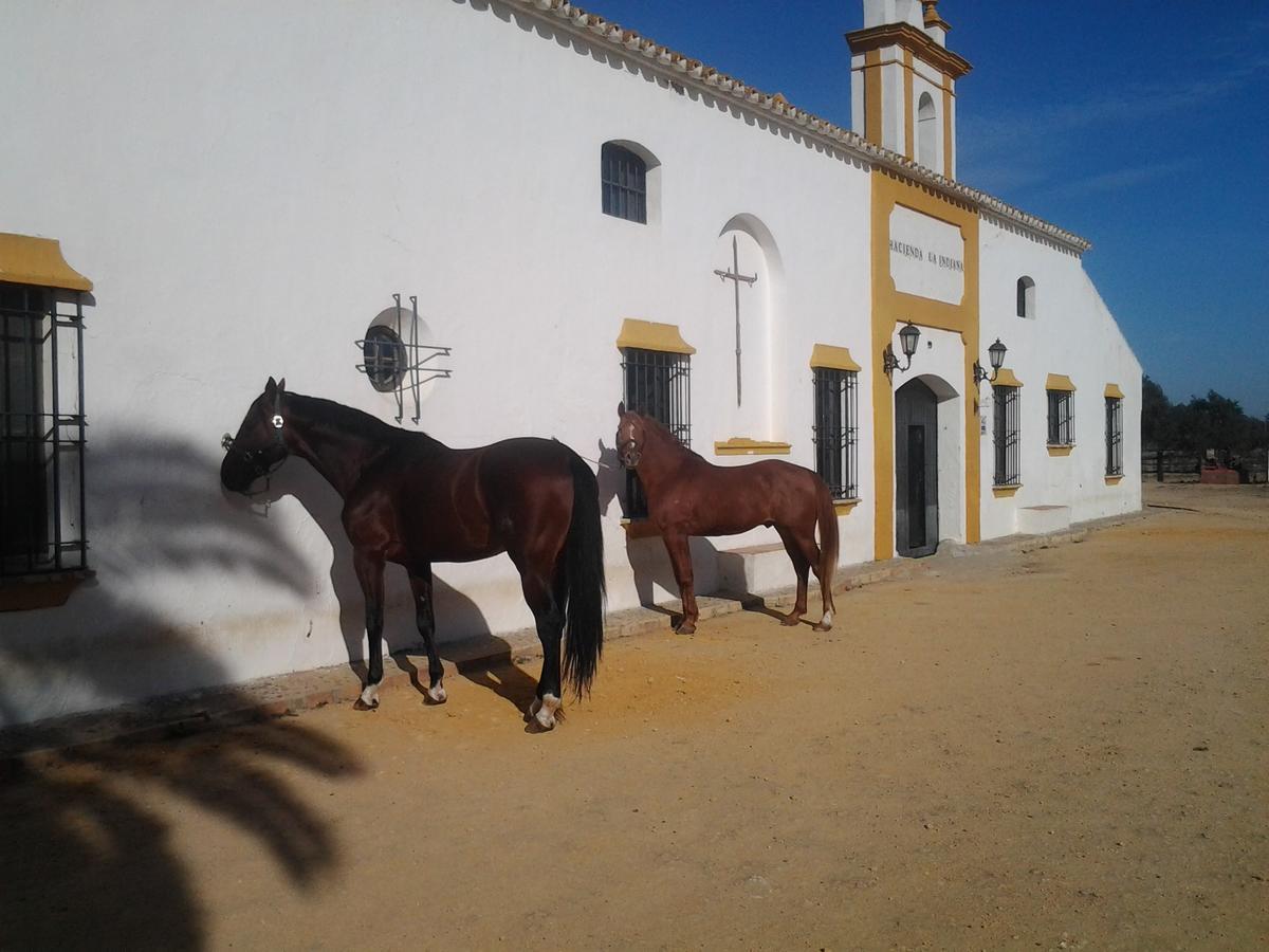 Hacienda La Indiana Hotel Los Palacios Y Villafranca Exterior photo